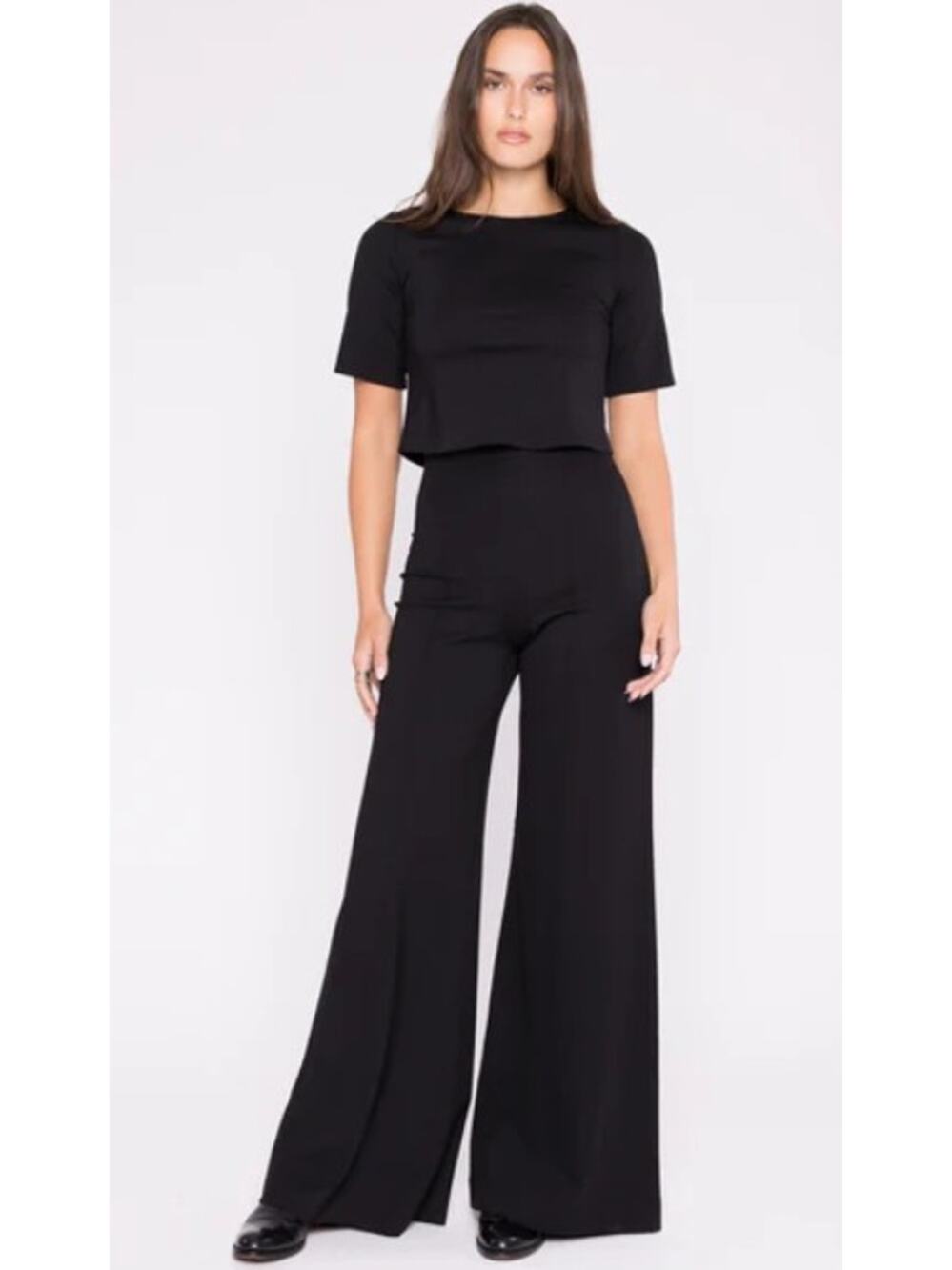 Ripley Rader Black Ponte Knit Long Wide Leg Pant Sz. 4+ (US 20-22)